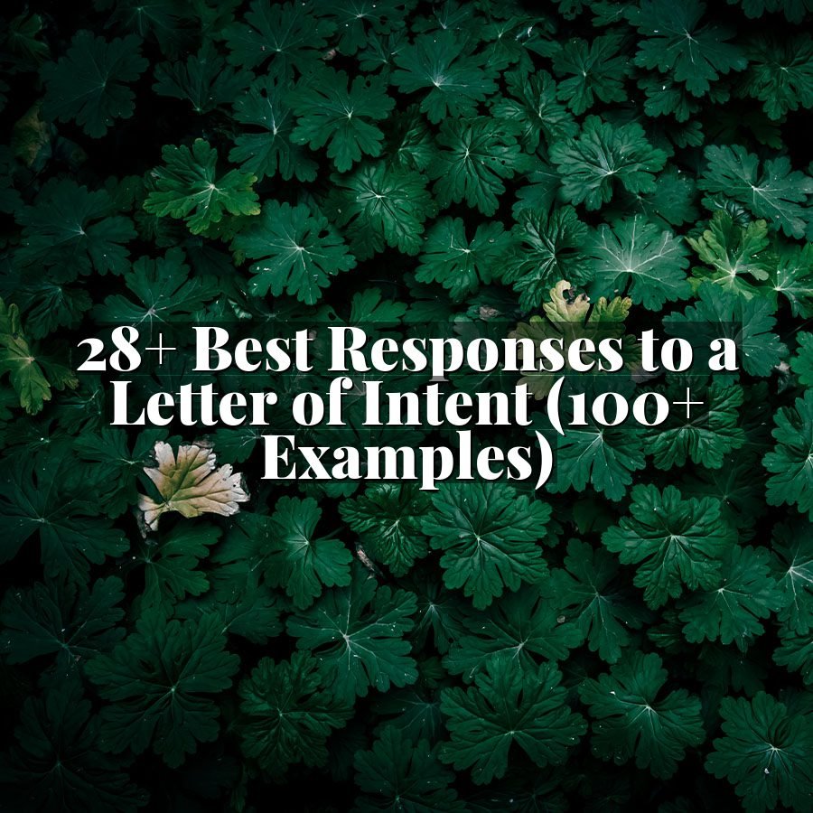 28+ Best Responses to a Letter of Intent (100+ Examples)