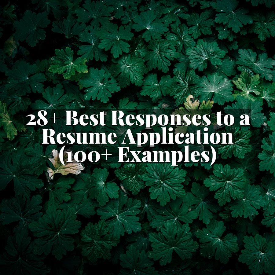 28+ Best Responses to a Resume Application (100+ Examples)