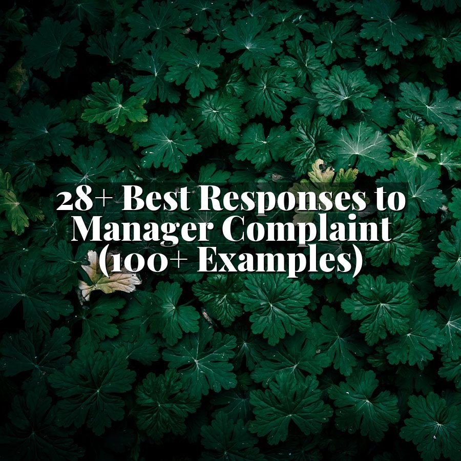28+ Best Responses to Manager Complaint (100+ Examples)