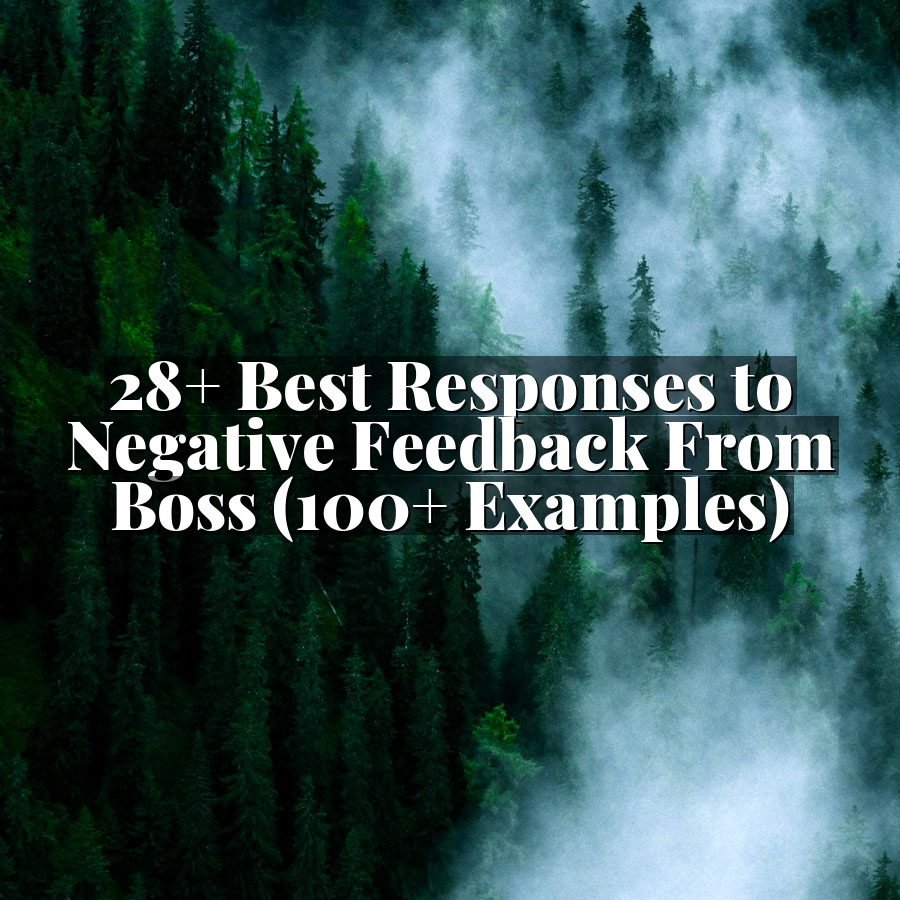 28+ Best Responses to Negative Feedback From Boss (100+ Examples)