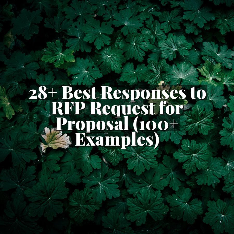 28+ Best Responses to RFP Request for Proposal (100+ Examples)
