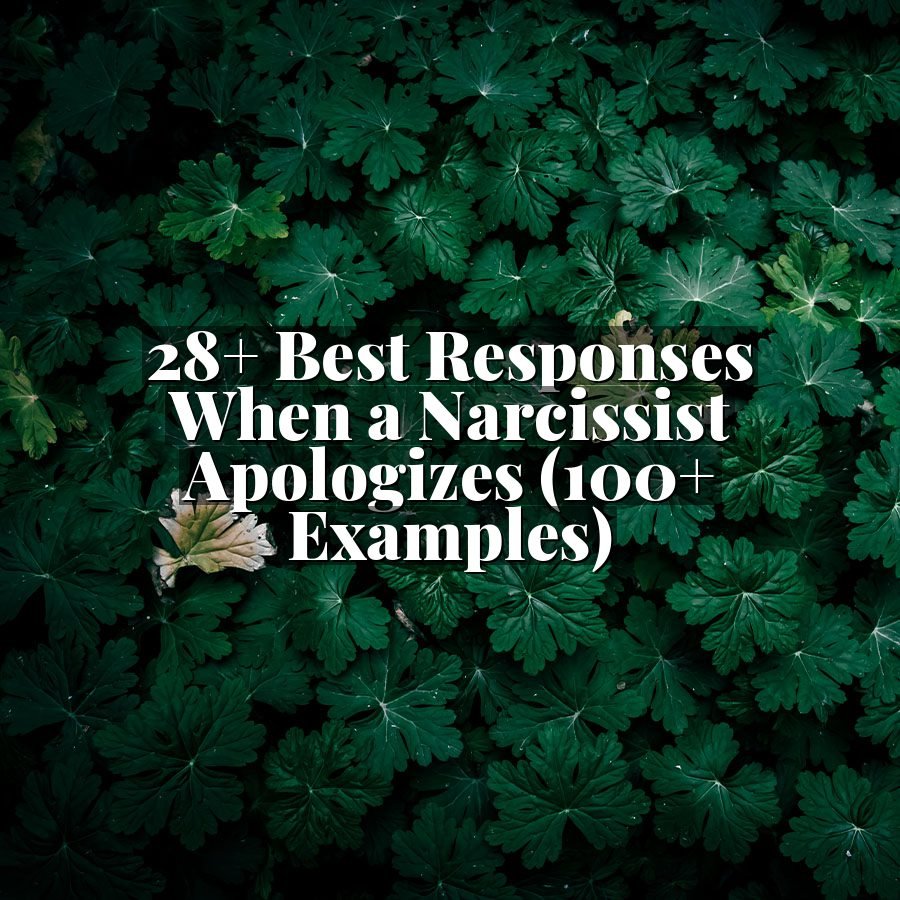 28+ Best Responses When a Narcissist Apologizes (100+ Examples)