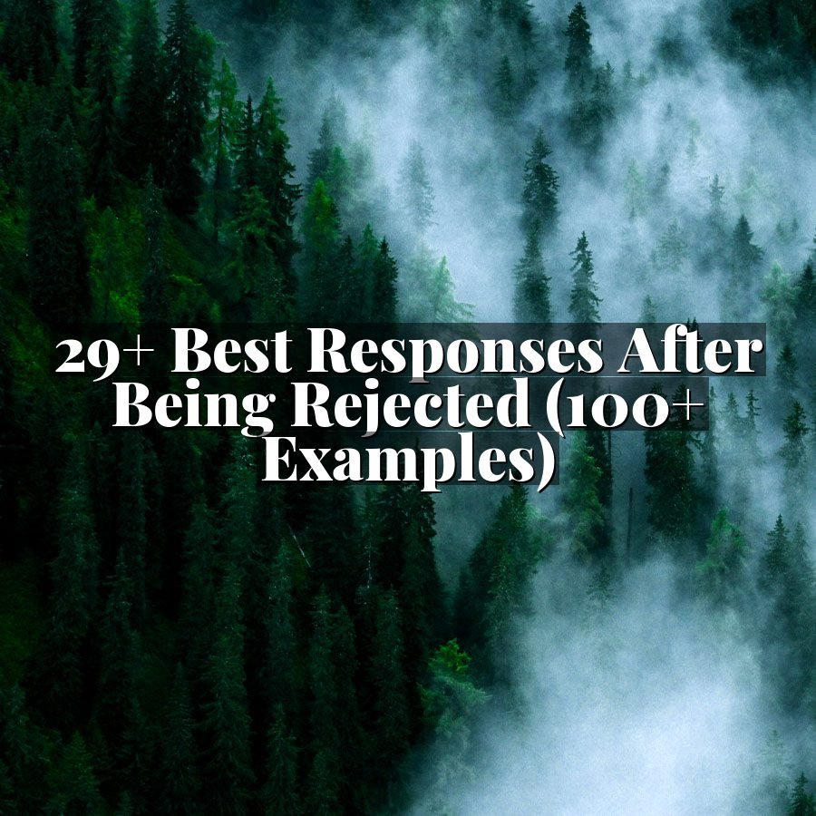 29+ Best Responses After Being Rejected (100+ Examples)