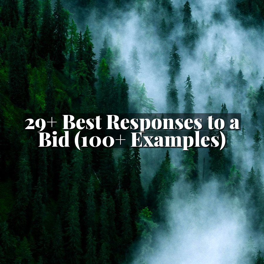 29+ Best Responses to a Bid (100+ Examples)