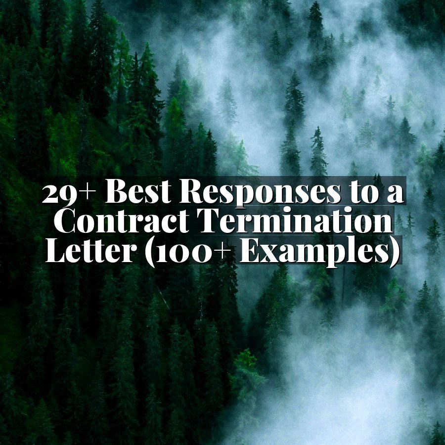 29+ Best Responses to a Contract Termination Letter (100+ Examples)
