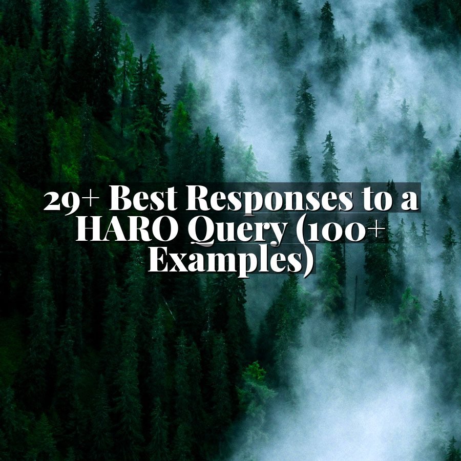 29+ Best Responses to a HARO Query (100+ Examples)