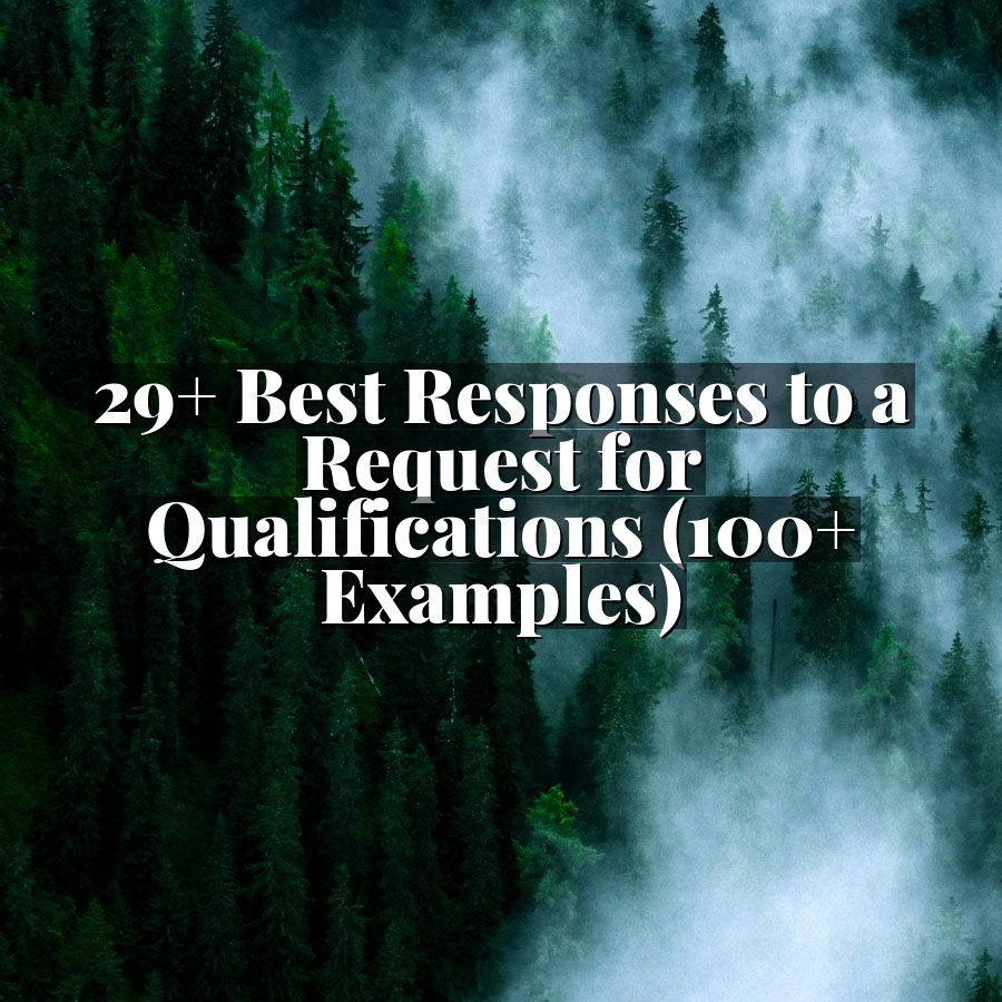 29+ Best Responses to a Request for Qualifications (100+ Examples)