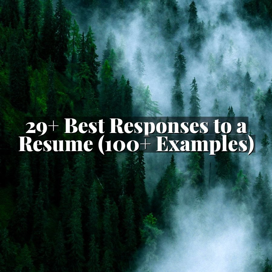 29+ Best Responses to a Resume (100+ Examples)