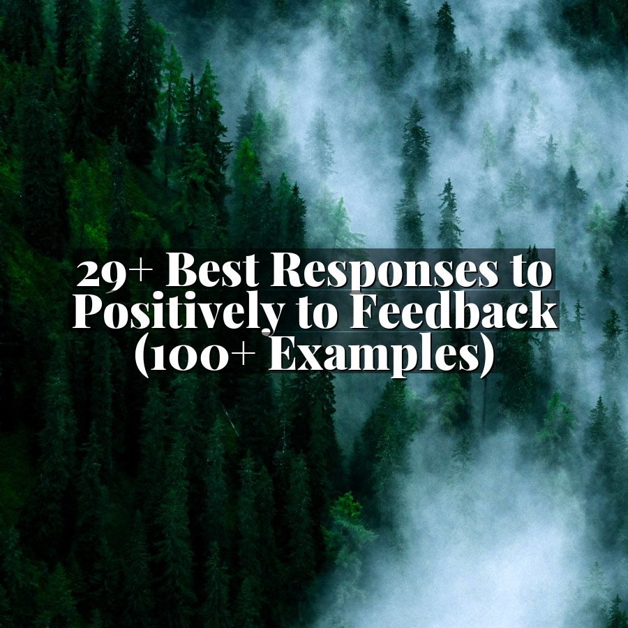 29+ Best Responses to Positively to Feedback (100+ Examples)