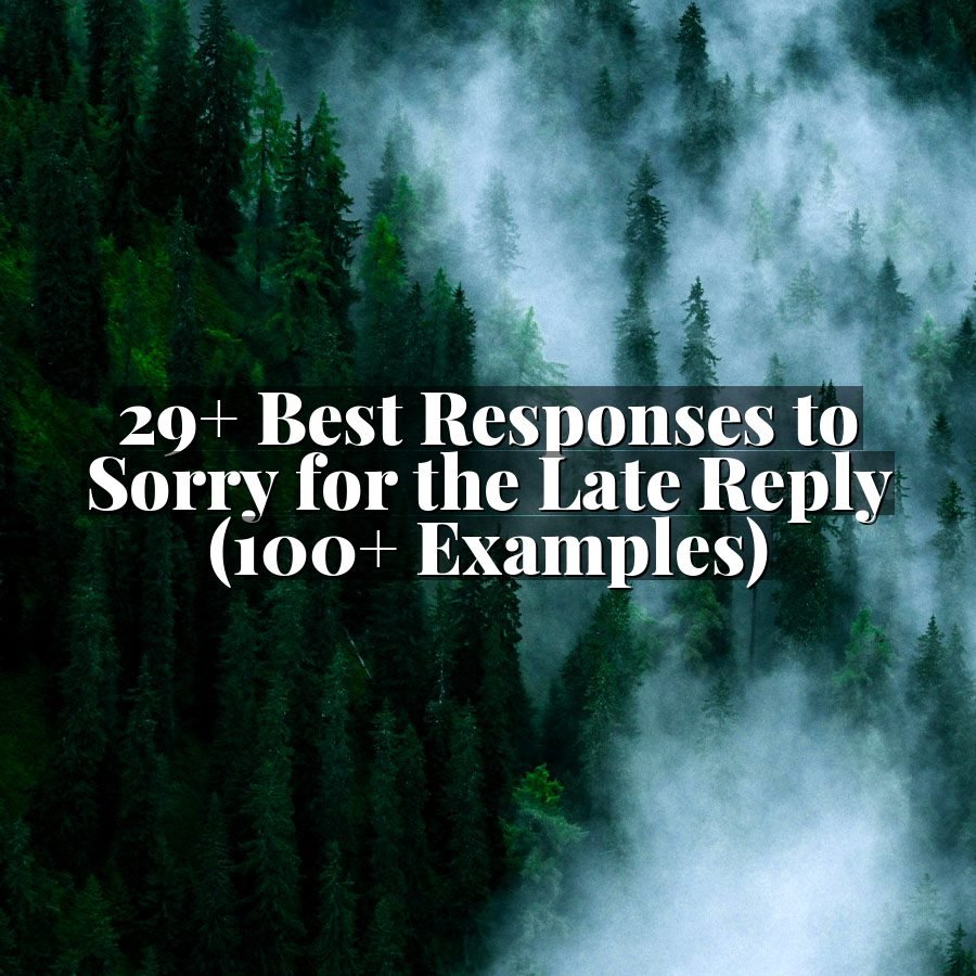29+ Best Responses to Sorry for the Late Reply (100+ Examples)