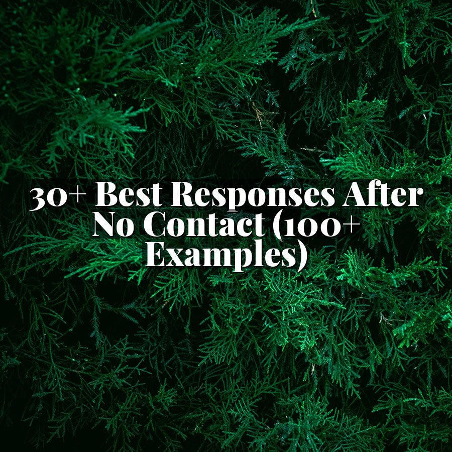 30+ Best Responses After No Contact (100+ Examples)