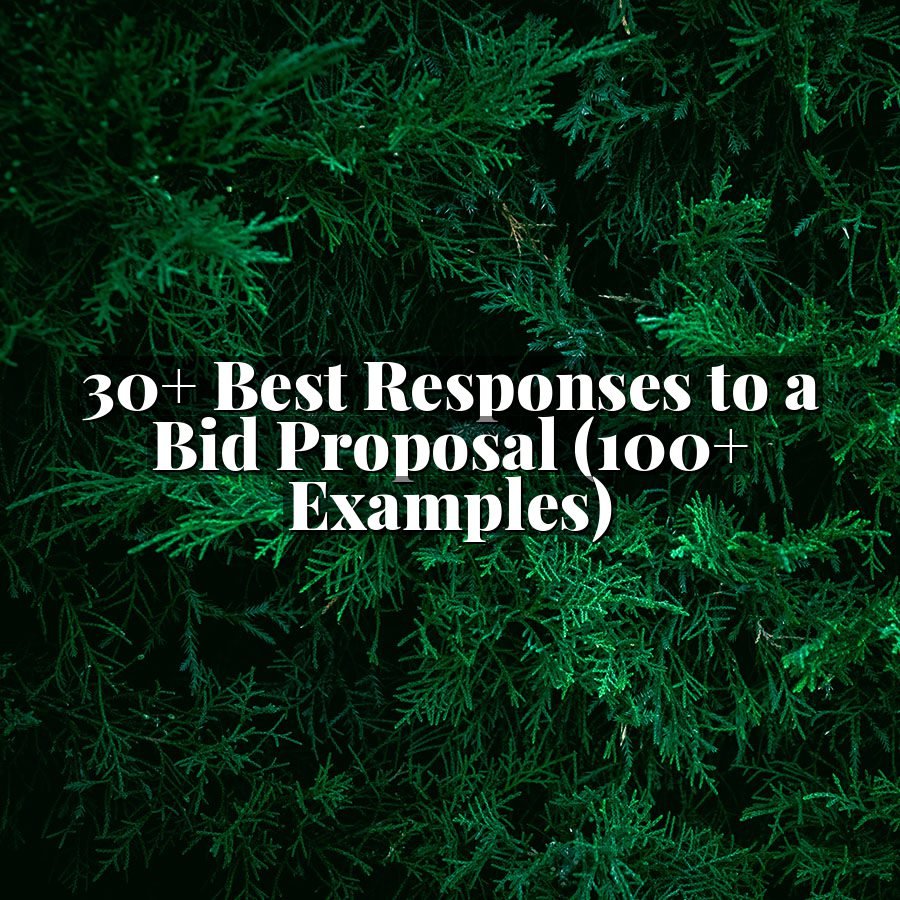 30+ Best Responses to a Bid Proposal (100+ Examples)