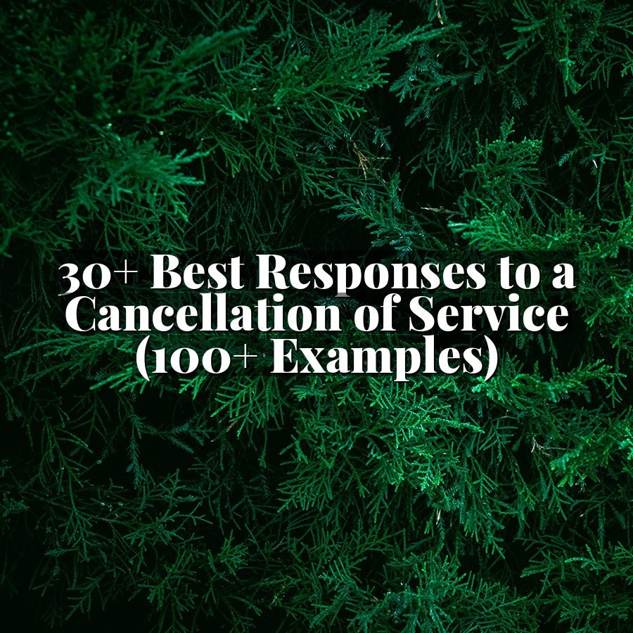 30+ Best Responses to a Cancellation of Service (100+ Examples)