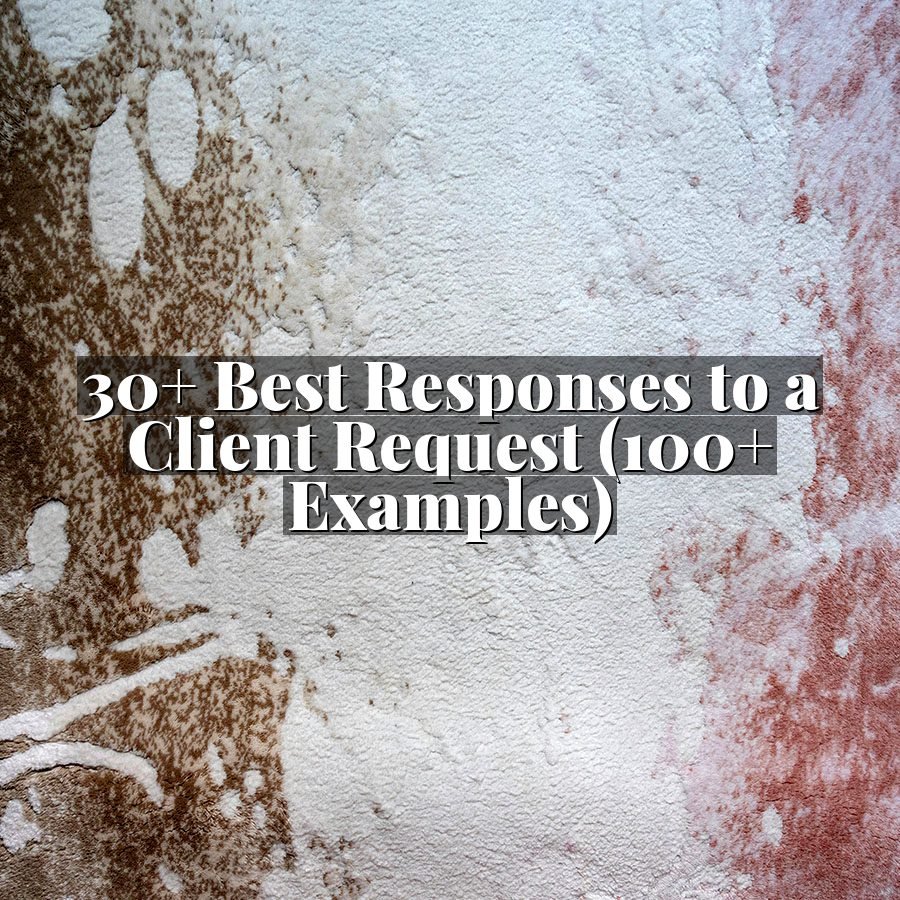 30+ Best Responses to a Client Request (100+ Examples)