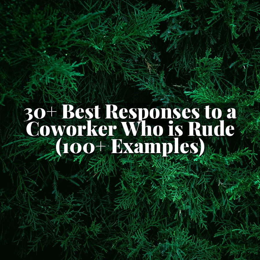30+ Best Responses to a Coworker Who is Rude (100+ Examples)