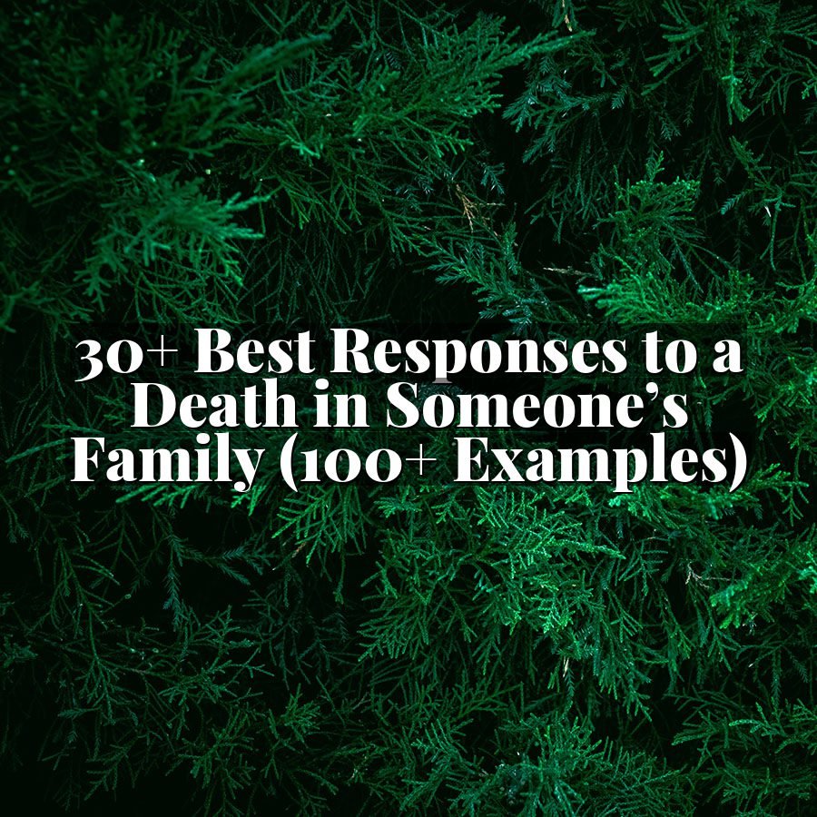 30+ Best Responses to a Death in Someone’s Family (100+ Examples)