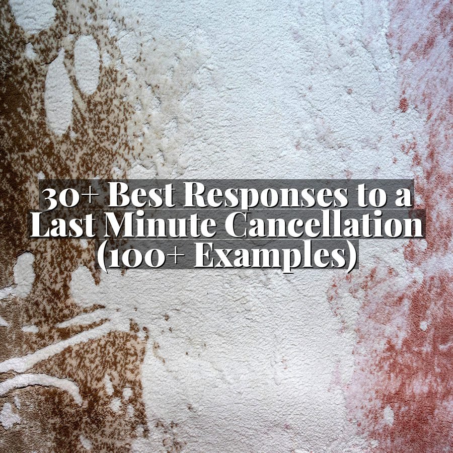 30+ Best Responses to a Last Minute Cancellation (100+ Examples)