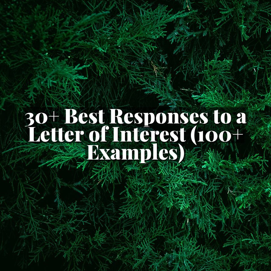30+ Best Responses to a Letter of Interest (100+ Examples)