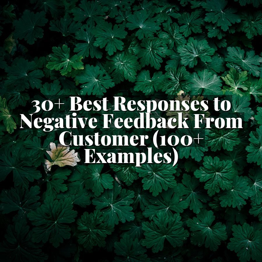 30+ Best Responses to Negative Feedback From Customer (100+ Examples)