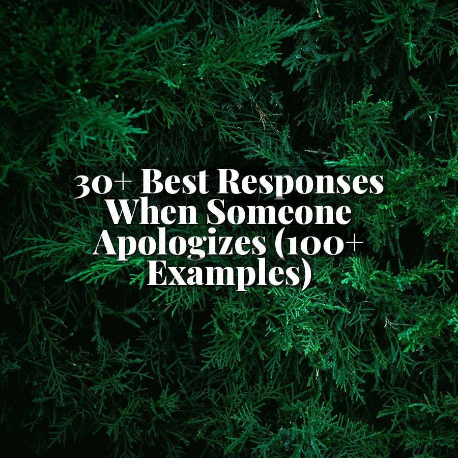30+ Best Responses When Someone Apologizes (100+ Examples)