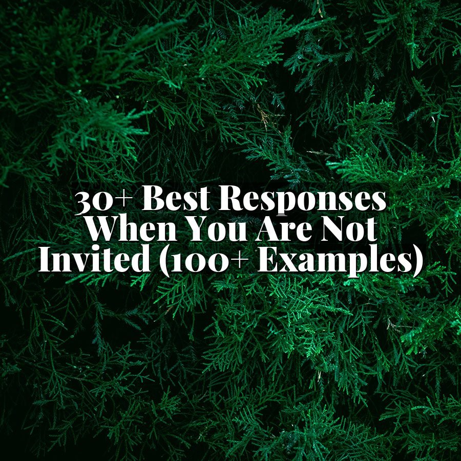 30+ Best Responses When You Are Not Invited (100+ Examples)