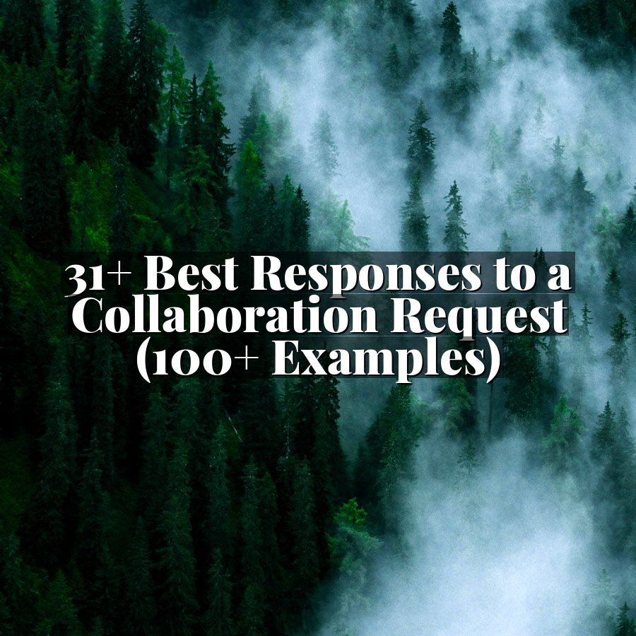 31+ Best Responses to a Collaboration Request (100+ Examples)