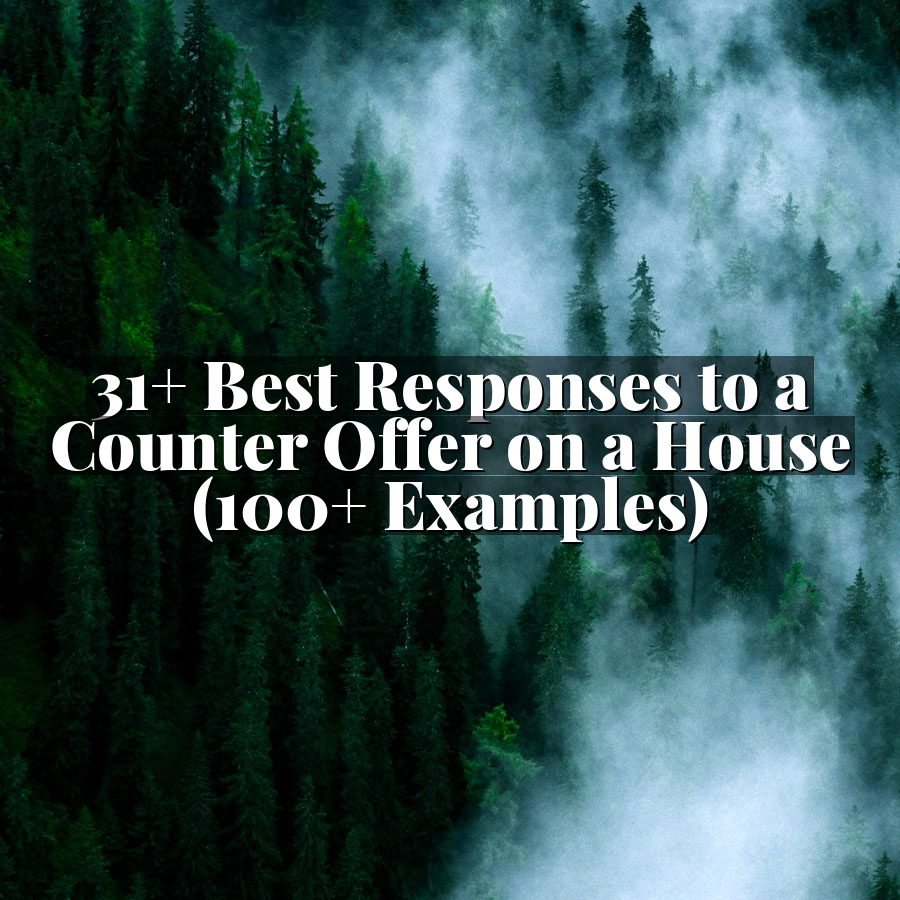 31+ Best Responses to a Counter Offer on a House (100+ Examples)