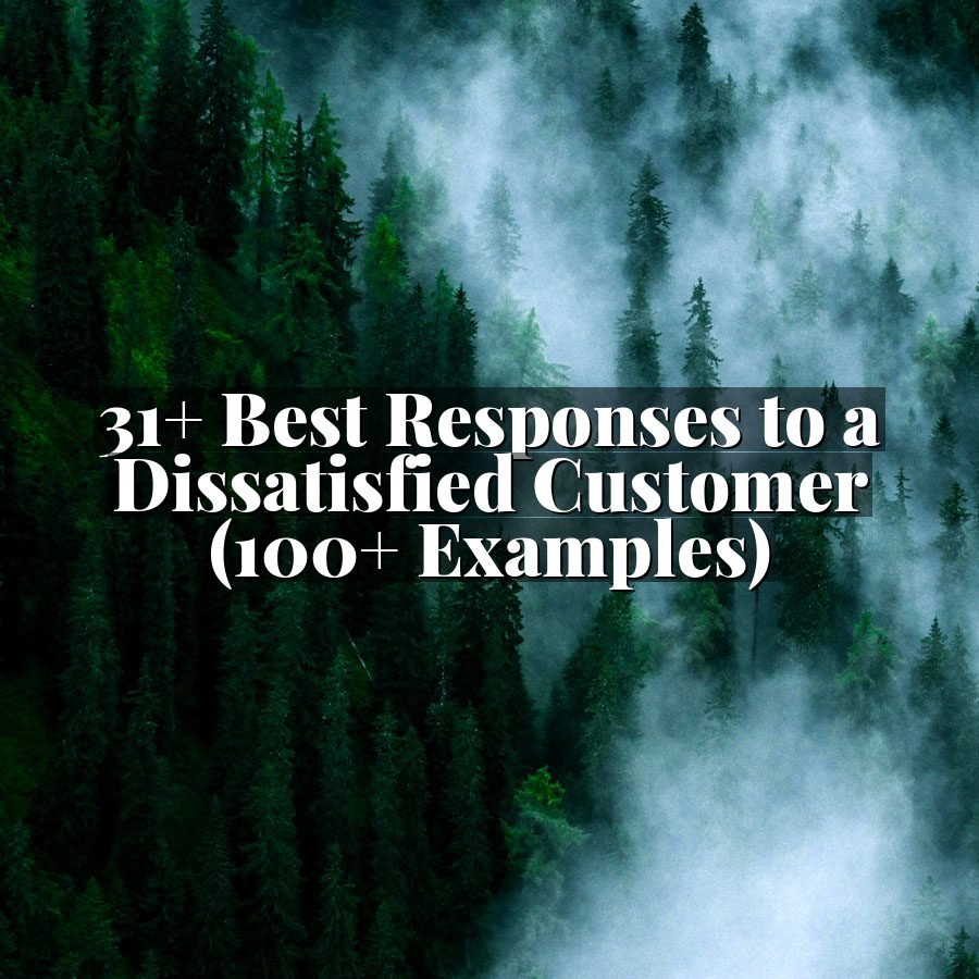 31+ Best Responses to a Dissatisfied Customer (100+ Examples)