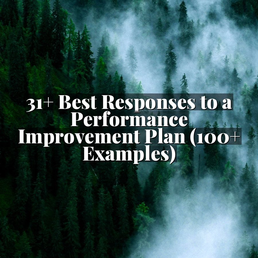 31+ Best Responses to a Performance Improvement Plan (100+ Examples)