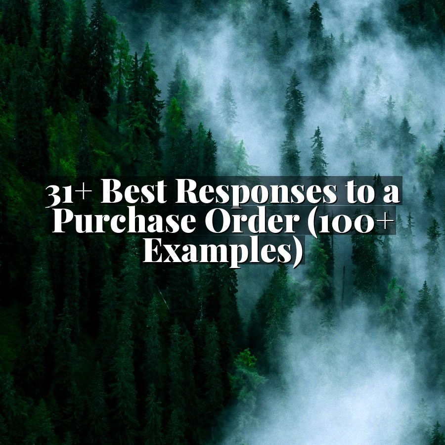 31+ Best Responses to a Purchase Order (100+ Examples)