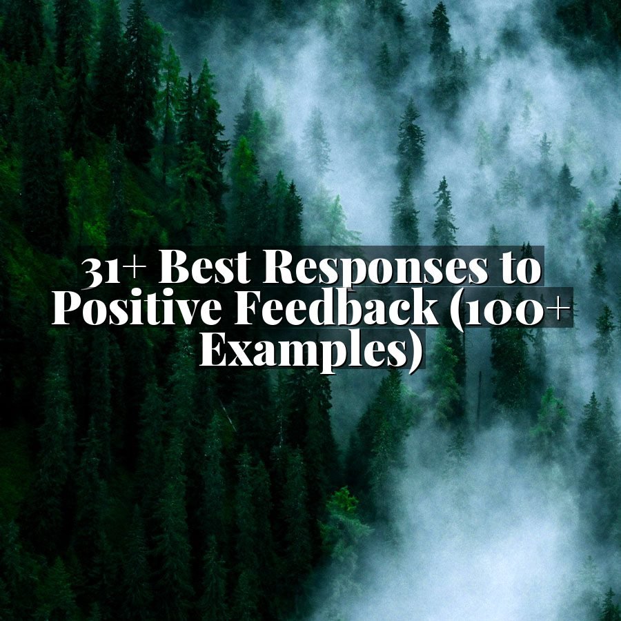 31+ Best Responses to Positive Feedback (100+ Examples)