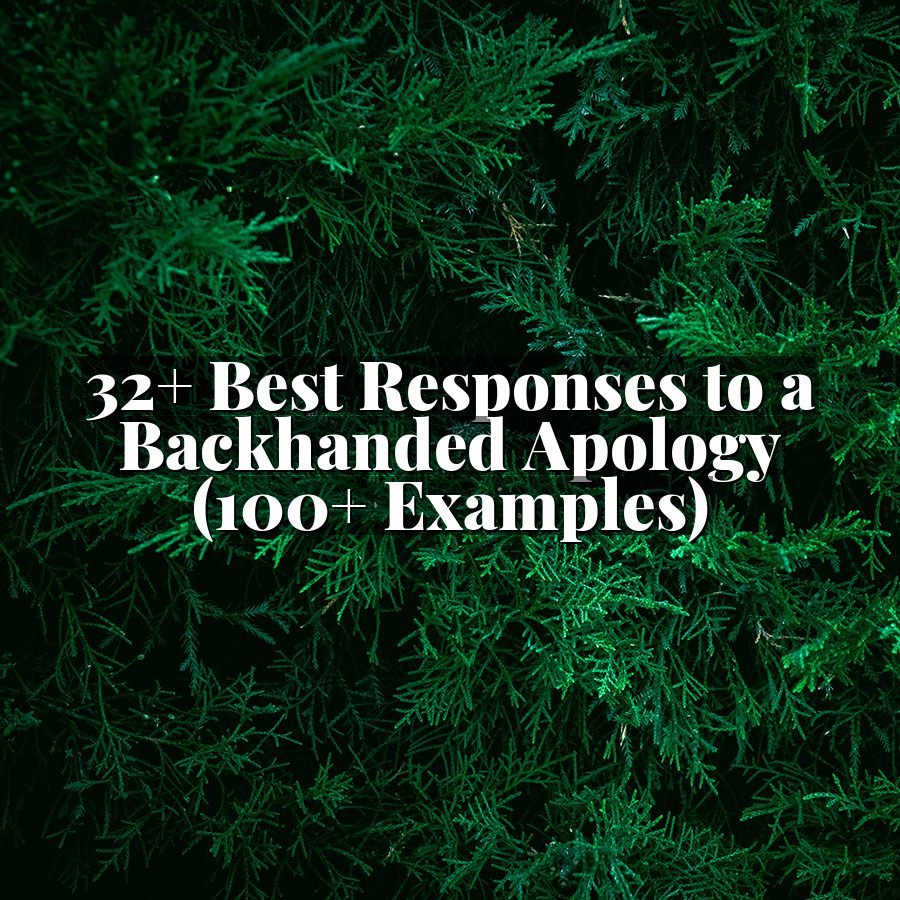 32+ Best Responses to a Backhanded Apology (100+ Examples)