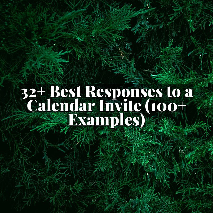 32+ Best Responses to a Calendar Invite (100+ Examples)