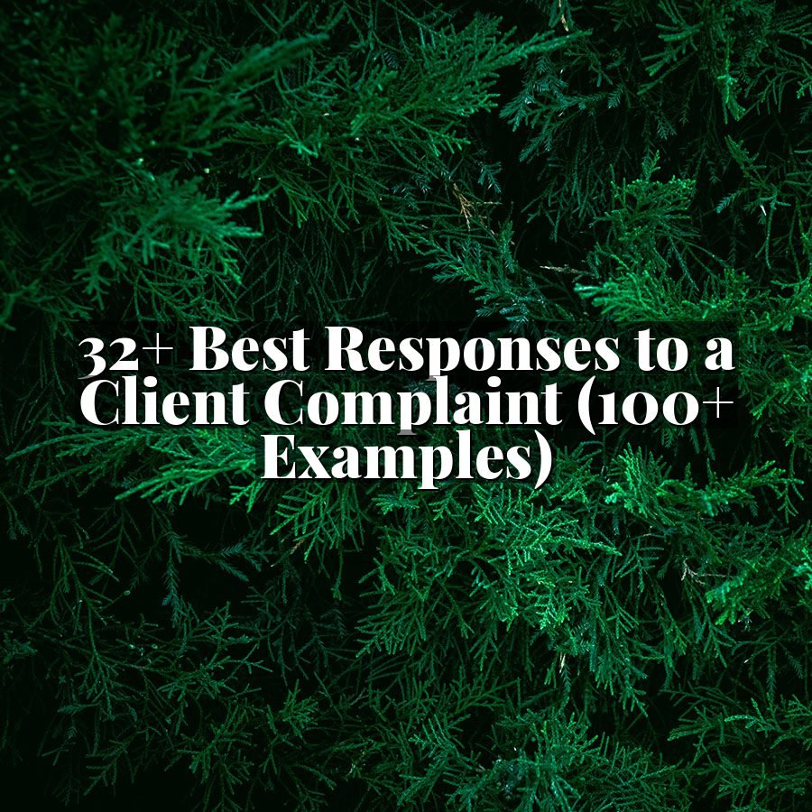 32+ Best Responses to a Client Complaint (100+ Examples)