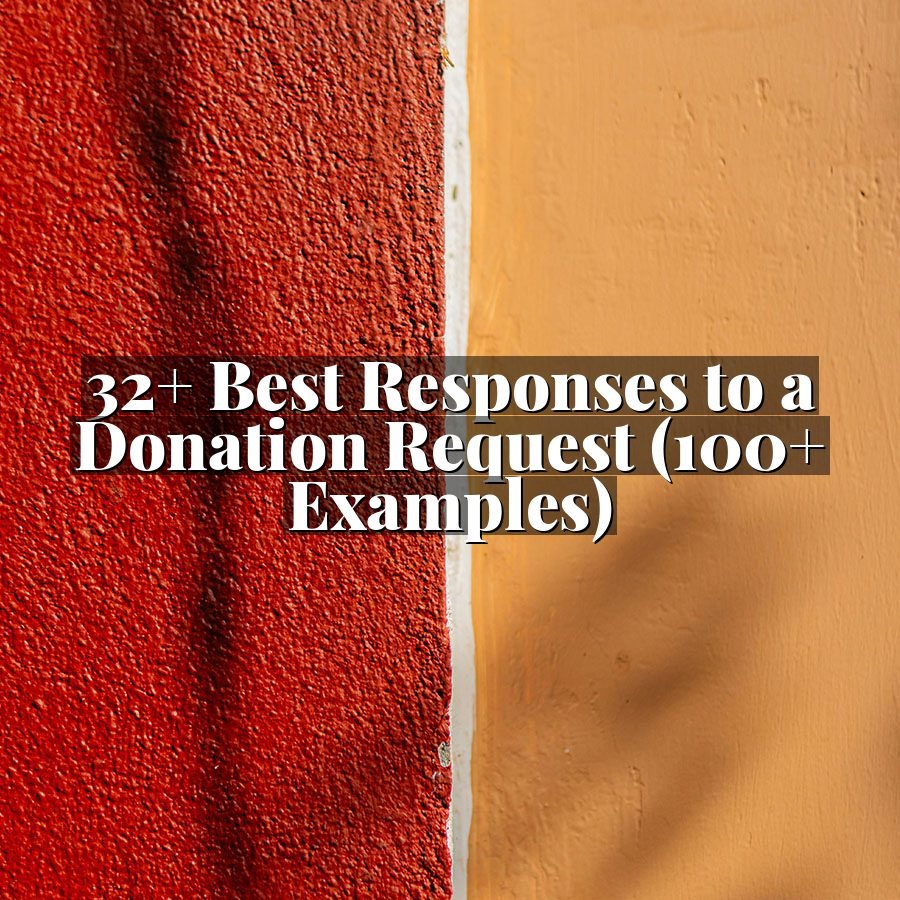 32+ Best Responses to a Donation Request (100+ Examples)