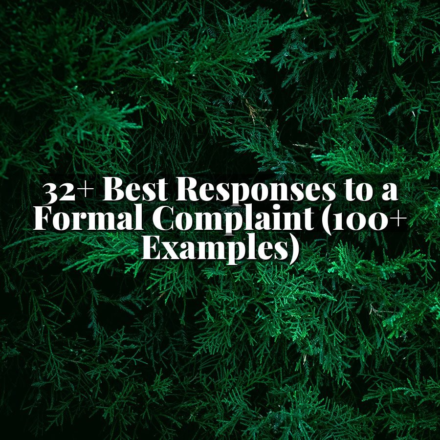 32+ Best Responses to a Formal Complaint (100+ Examples)