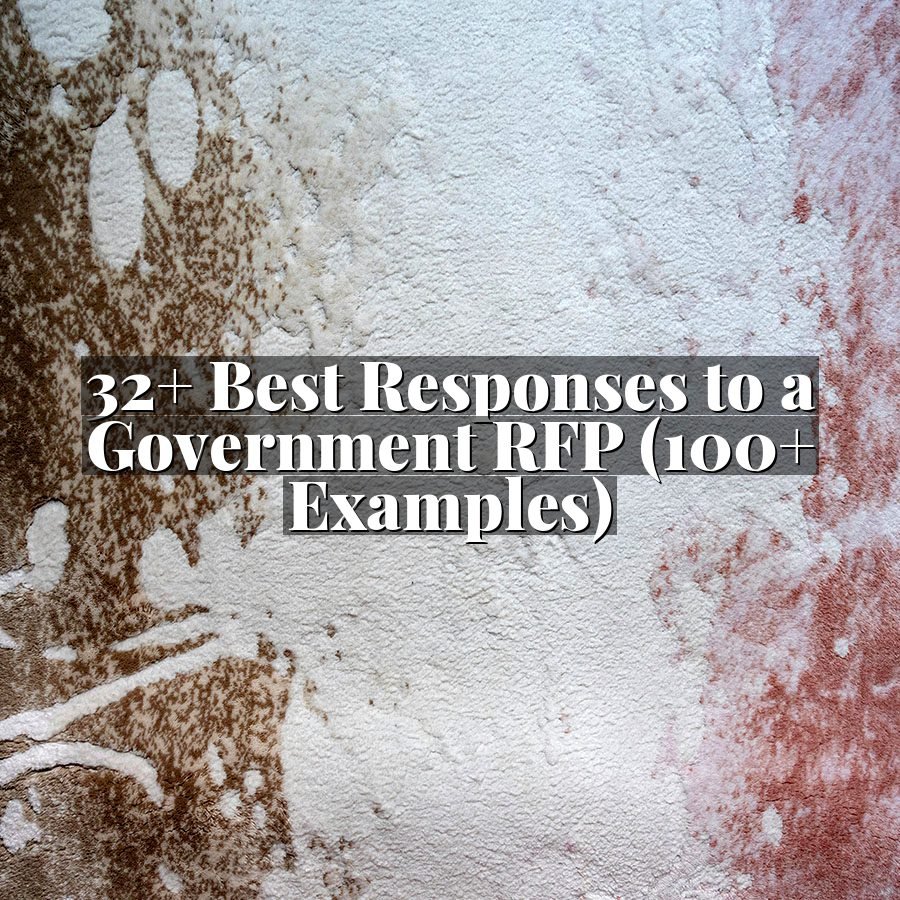 32+ Best Responses to a Government RFP (100+ Examples)