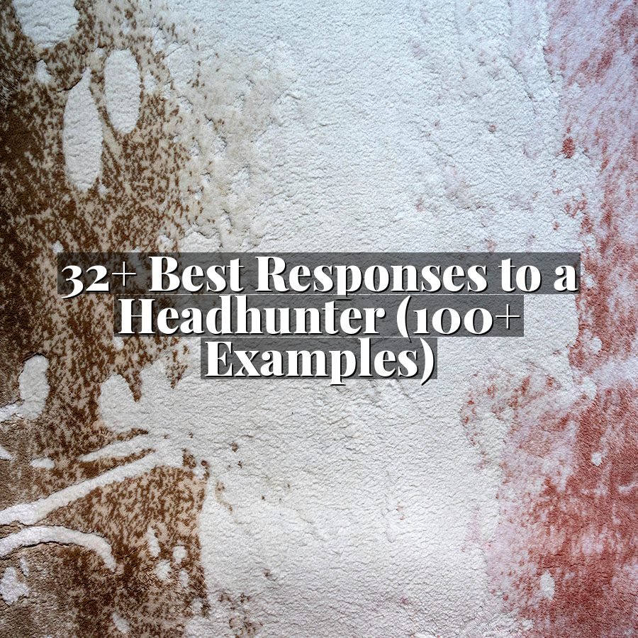32+ Best Responses to a Headhunter (100+ Examples)