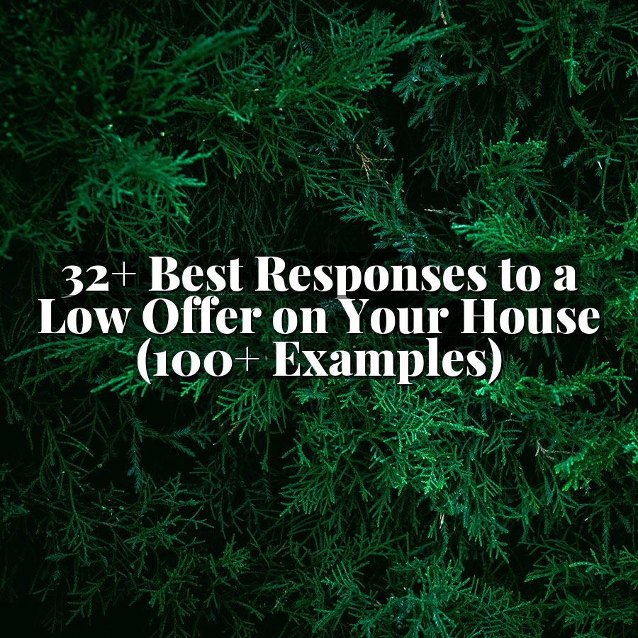 32+ Best Responses to a Low Offer on Your House (100+ Examples)
