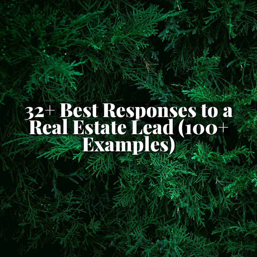 32+ Best Responses to a Real Estate Lead (100+ Examples)
