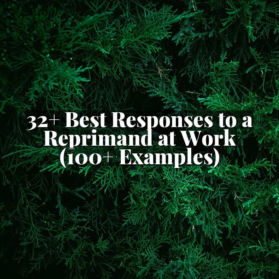 32+ Best Responses to a Reprimand at Work (100+ Examples)