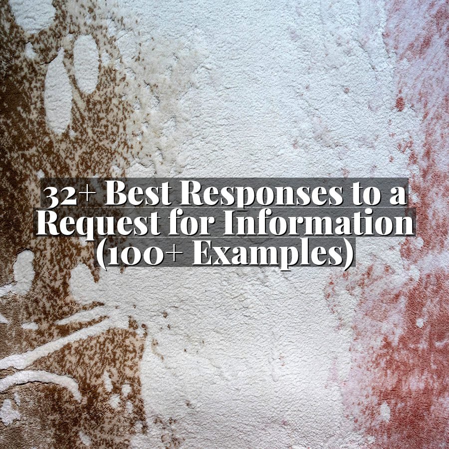 32+ Best Responses to a Request for Information (100+ Examples)