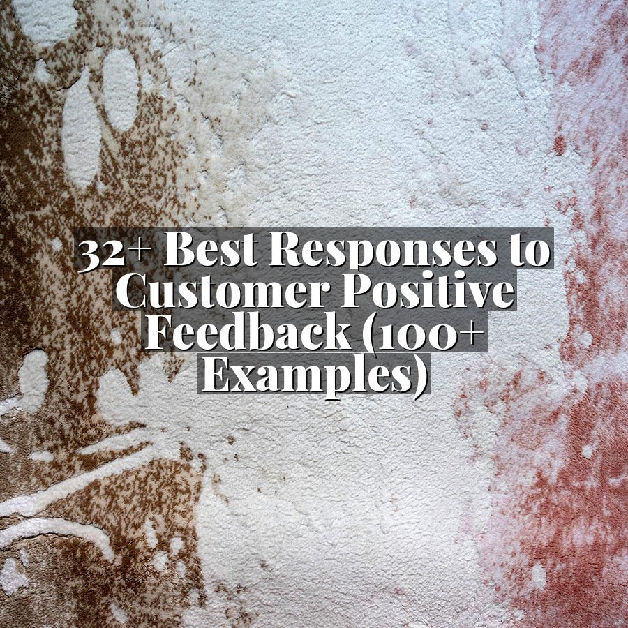 32+ Best Responses to Customer Positive Feedback (100+ Examples)