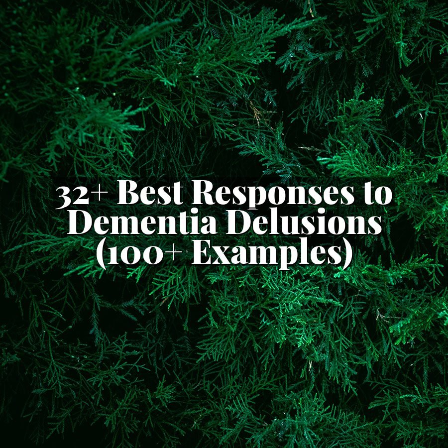 32+ Best Responses to Dementia Delusions (100+ Examples)