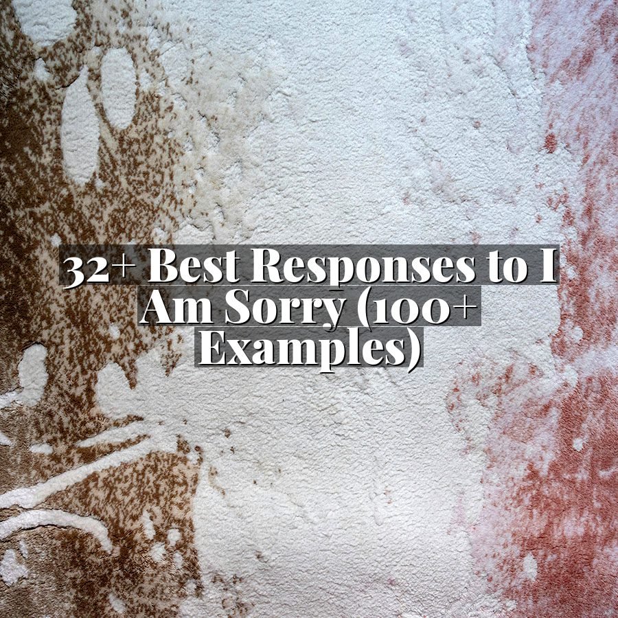 32+ Best Responses to I Am Sorry (100+ Examples)