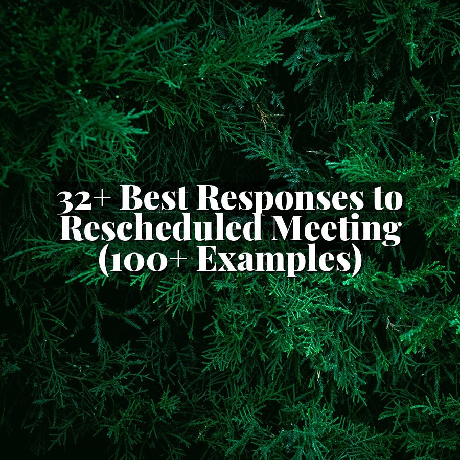 32+ Best Responses to Rescheduled Meeting (100+ Examples)